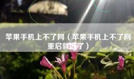 苹果手机上不了网（苹果手机上不了网重启就好了）