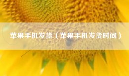 苹果手机发货（苹果手机发货时间）