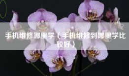 手机维修哪里学（手机维修到哪里学比较好）