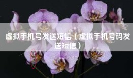 虚拟手机号发送短信（虚拟手机号码发送短信）