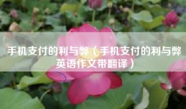 手机支付的利与弊（手机支付的利与弊英语作文带翻译）