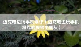 边充电边玩手机爆炸（边充电边玩手机爆炸的视频小朋友）