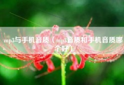 mp3与手机音质（mp3音质和手机音质哪个好）