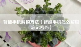 智能手机解锁方法（智能手机怎么解锁忘记密码）