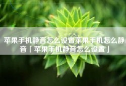 苹果手机静音怎么设置苹果手机怎么静音「苹果手机静音怎么设置」