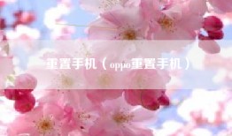 重置手机（oppo重置手机）