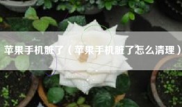 苹果手机脏了（苹果手机脏了怎么清理）