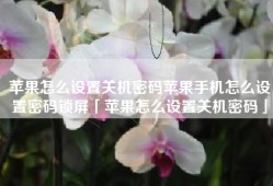 苹果怎么设置关机密码苹果手机怎么设置密码锁屏「苹果怎么设置关机密码」