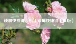 锁屏快捷键手机（锁屏快捷键手机版）