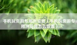 手机玩页游专用浏览器（手机玩页游专用浏览器怎么设置）