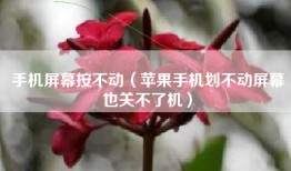 手机屏幕按不动（苹果手机划不动屏幕也关不了机）