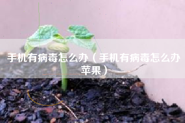 手机有病毒怎么办（手机有病毒怎么办苹果）